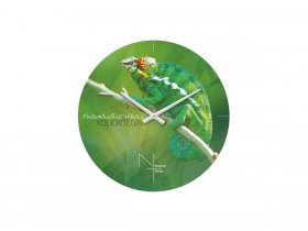 Часы настенные Nicole Time NT503 в Вагайцево - vagajcevo.mebel-nsk.ru | фото